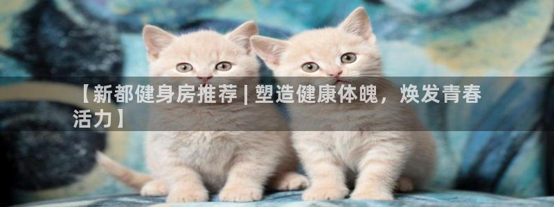 尊龙凯时人生就是搏!官网