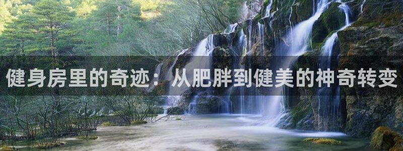 ag尊龙旗舰厅